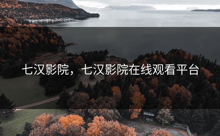 七汉影院，七汉影院在线观看平台