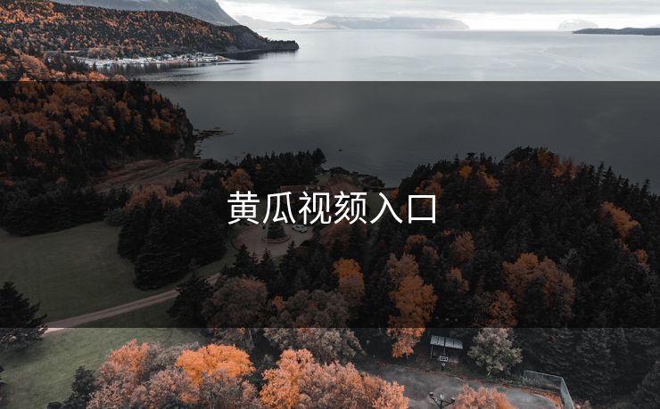 黄瓜视颏入口