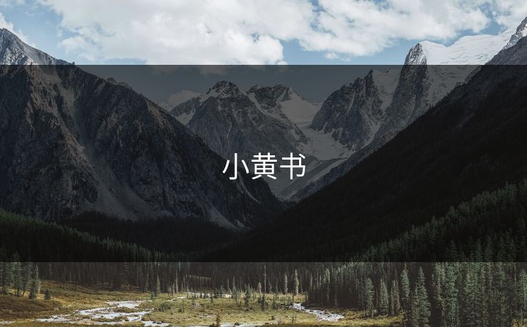 小黄书