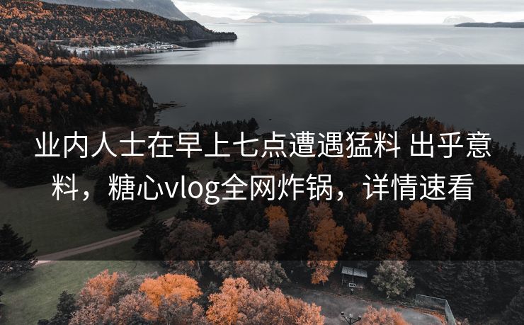 业内人士在早上七点遭遇猛料 出乎意料,糖心vlog全网炸锅,详情速看 业内人士在早上七点遭遇猛料 出乎意料,糖心vlog全网炸锅,详情速看